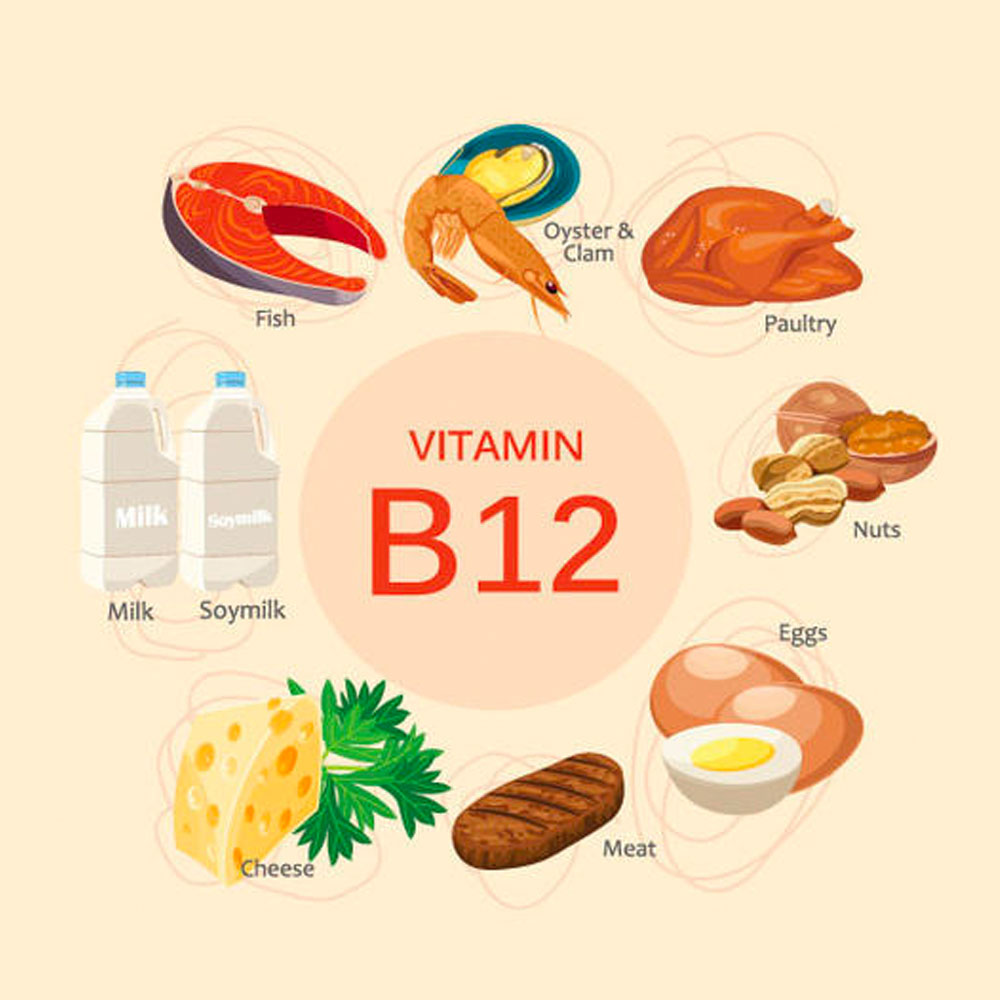 Vegetarians Be Aware – Vitamin B12 deficiency can be a Killer ...